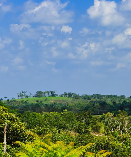 Ein schöner Blick auf die Region Llanos