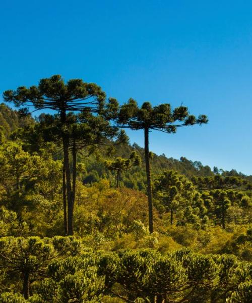 巴拉那州的美景