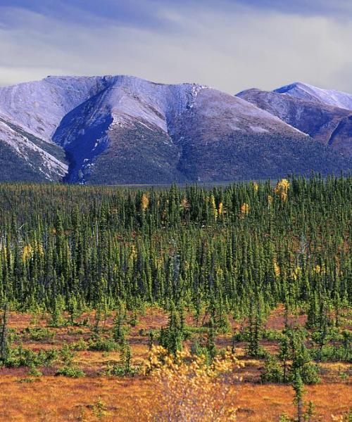 A beautiful view of Northwest Territories