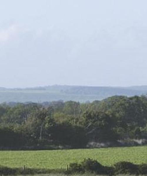 A beautiful view of West Sussex.