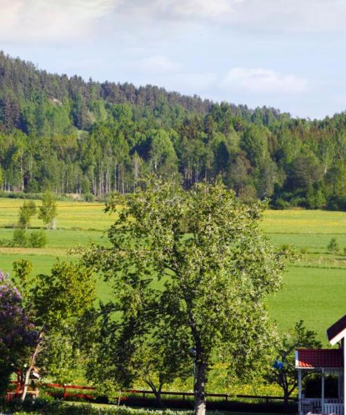 Regiooni Småland kaunis vaade
