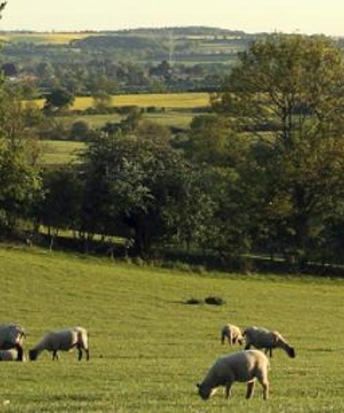 A beautiful view of Northamptonshire