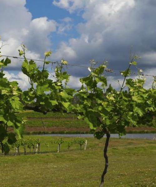 A beautiful view of Margaret River Region