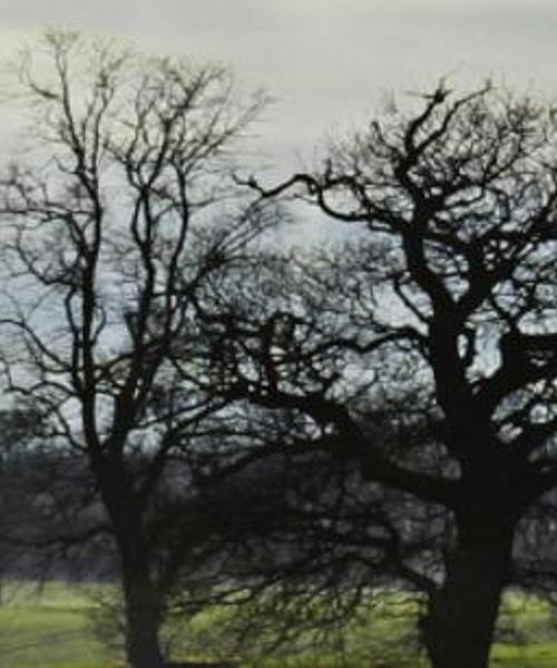 A beautiful view of South Yorkshire