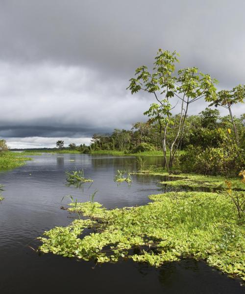 A beautiful view of Ucayali.