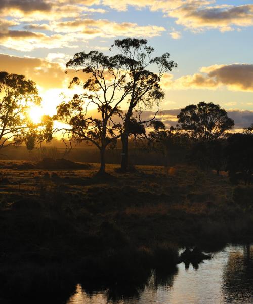 A beautiful view of Riverina