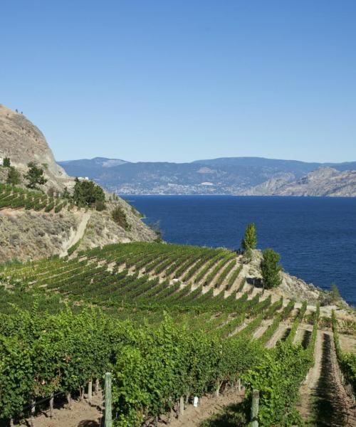 A beautiful view of Okanagan Valley.