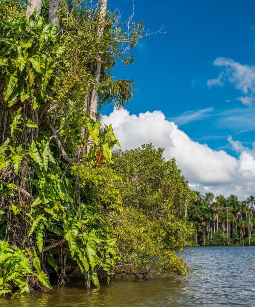 A beautiful view of Madre de Dios