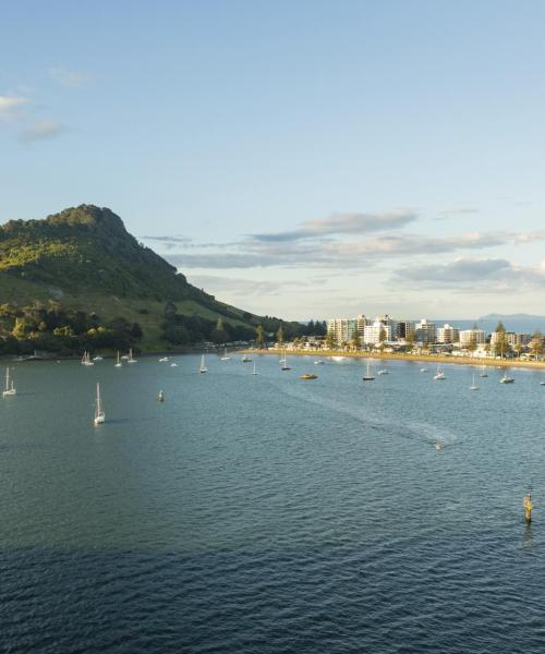 Гарний краєвид на регіон Bay of Plenty