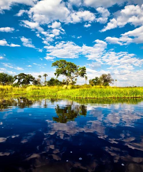 Una bellissima vista su: Okavango Delta