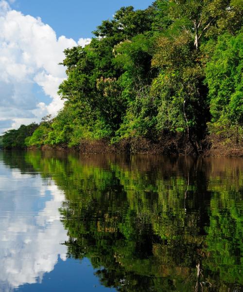 Ein schöner Blick auf die Region Amazonas