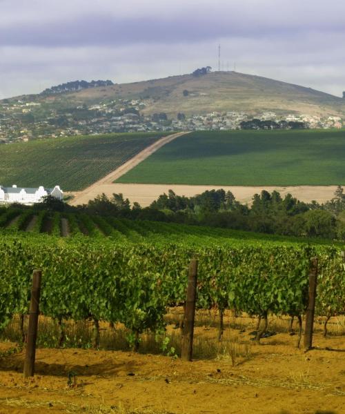 Cape Town Northern Suburbsの美しい景色