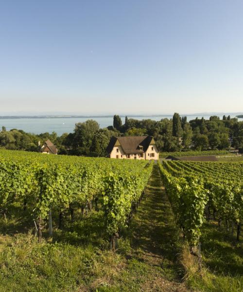 Lake Neuchatel的美景