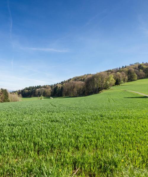 A beautiful view of Aargau