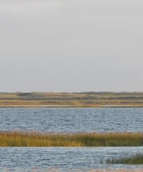 A beautiful view of Cape Cod