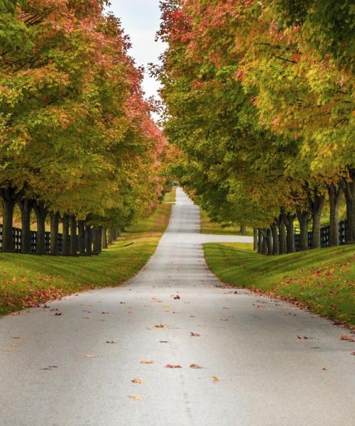 A beautiful view of Kentucky
