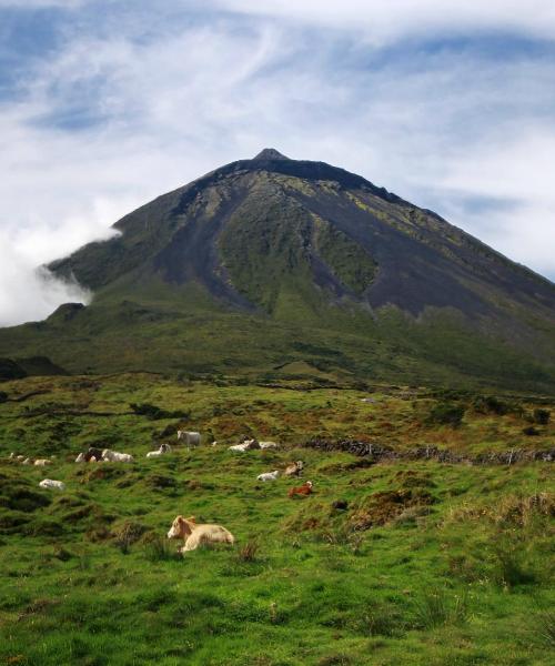 A beautiful view of Pico island