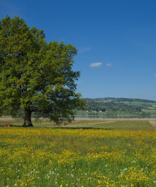 Zurich highlandsの美しい景色