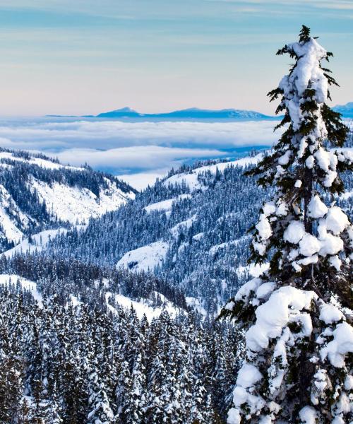 A beautiful view of Mount Washington Alpine .