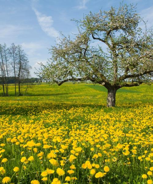 A beautiful view of Thurgau