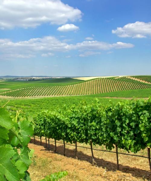 Alentejo Wine Routeの美しい景色