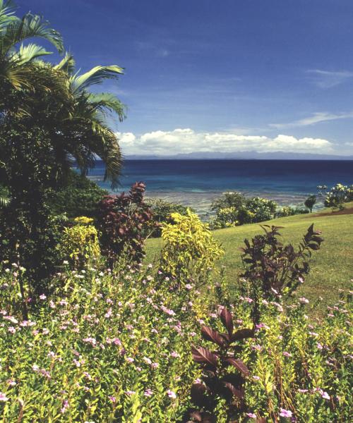 A beautiful view of Taveuni
