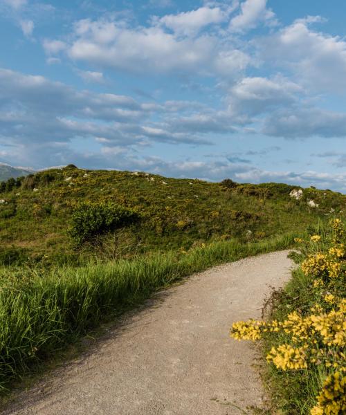 A beautiful view of Camino North Route