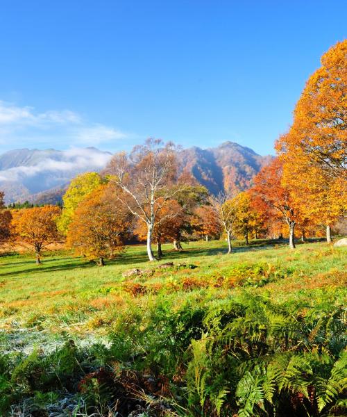 A beautiful view of Niigata