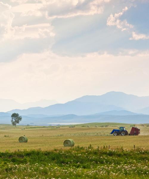 A beautiful view of Southern Alberta.