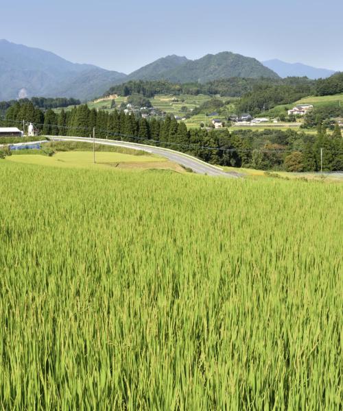 A beautiful view of Miyazaki