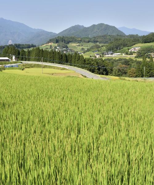 Ein schöner Blick auf die Region Miyazaki