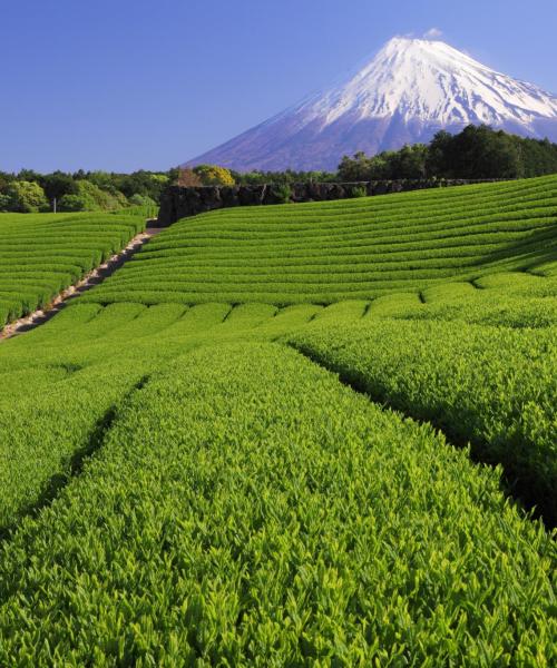 A beautiful view of Shizuoka.