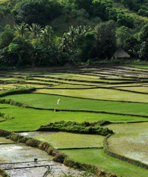 A beautiful view of East Nusa Tenggara