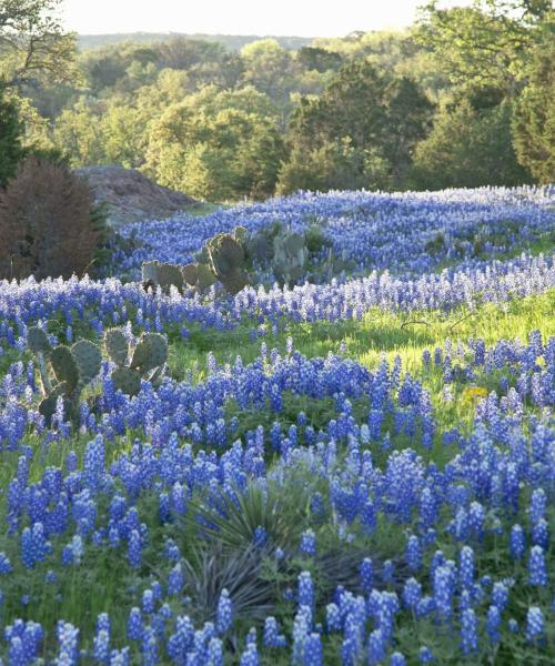 Krásný pohled na region Texas Hill Country