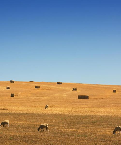 Central West NSWの美しい景色