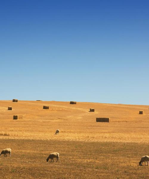 A beautiful view of Central West NSW.