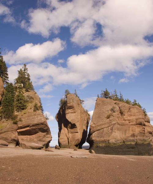 A beautiful view of New Brunswick