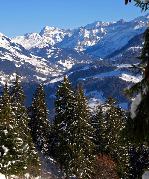 Alpes Vaudoisesの美しい景色