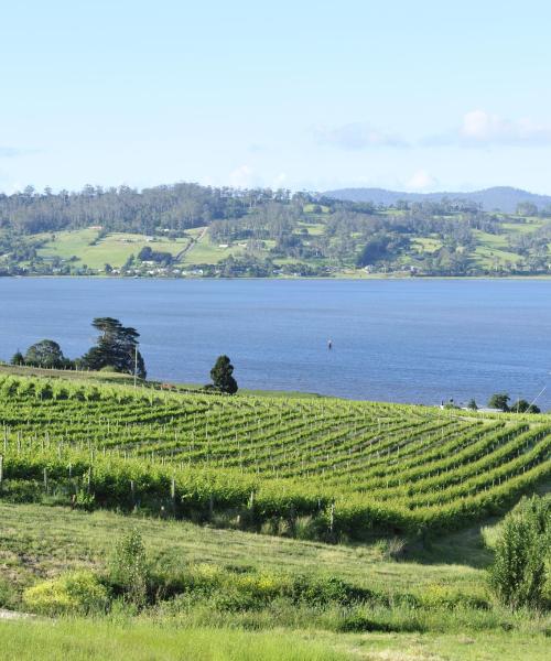 A beautiful view of Tamar Valley