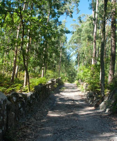 Čudovit pogled na regijo Portuguese Route of Santiago