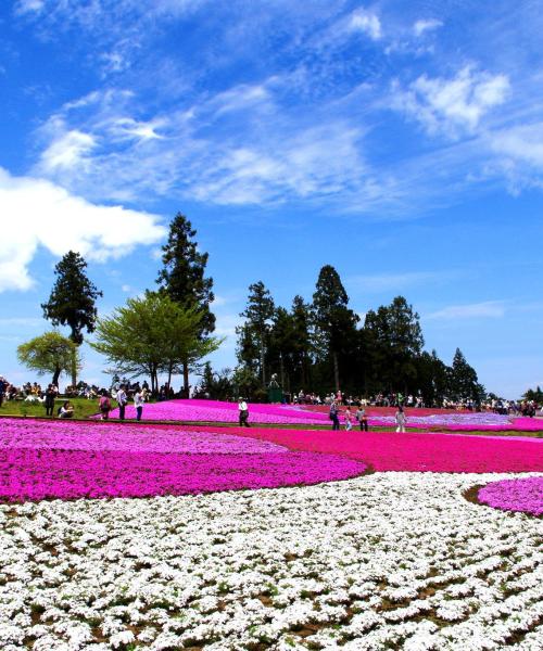 A beautiful view of Saitama