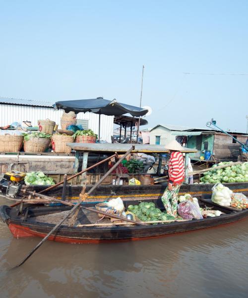 A beautiful view of Mekong Delta.