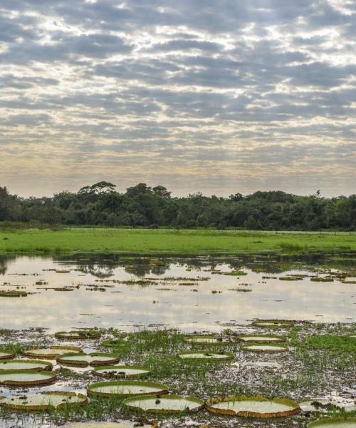 Uma bela vista de Mato Grosso do Sul