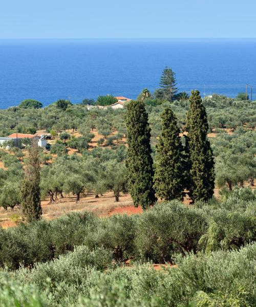 A beautiful view of Messinia