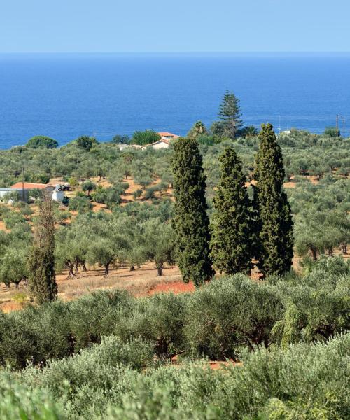 Krásný pohled na region Messinia