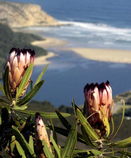 A beautiful view of Garden Route.