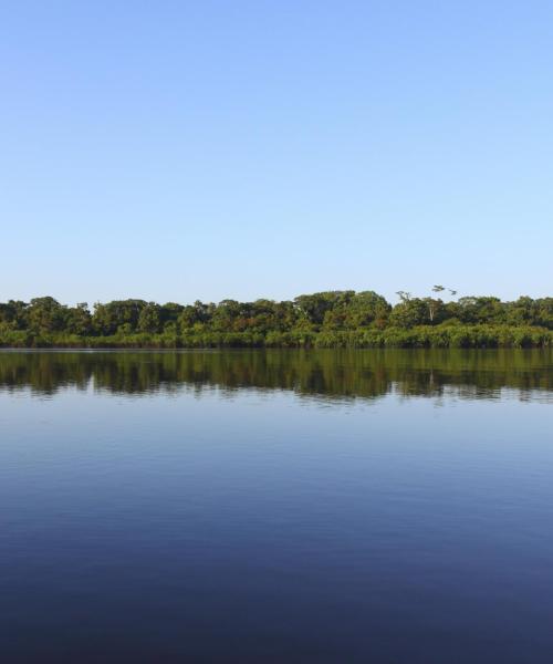 A beautiful view of Amazonas.