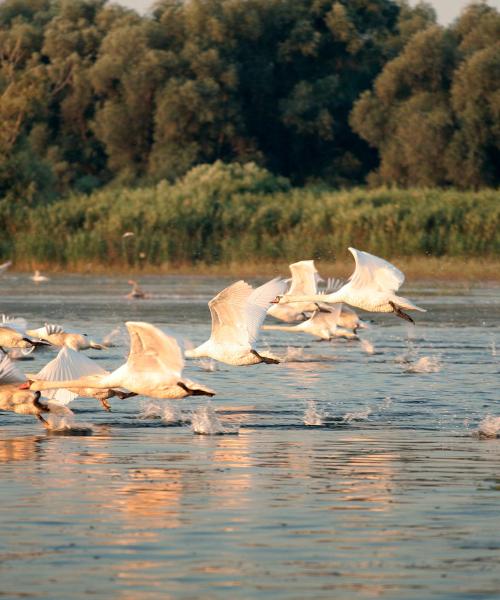 Čudovit pogled na regijo Donava