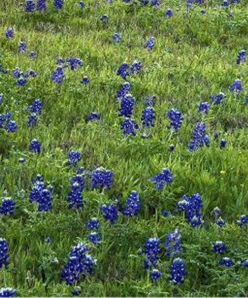 Krásný pohled na region Texas