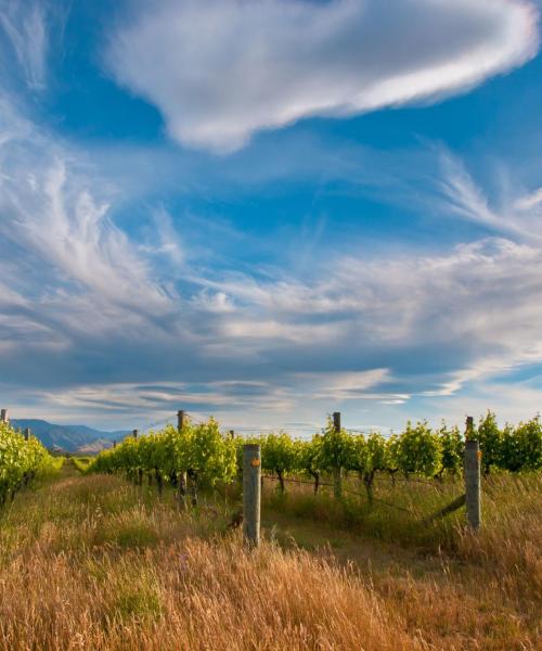 A beautiful view of Marlborough